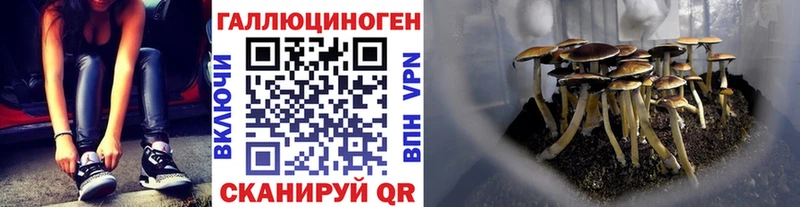 Псилоцибиновые грибы GOLDEN TEACHER наркошоп Нефтекумск