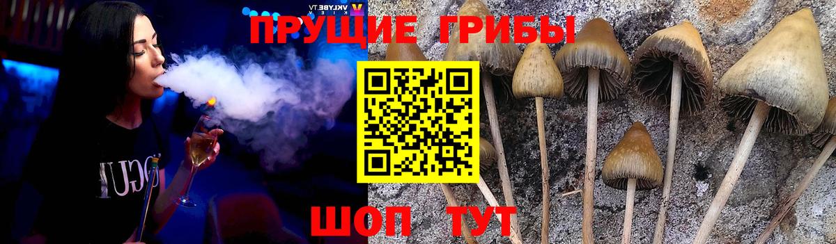 Галлюциногенные грибы мухоморы Нефтекумск