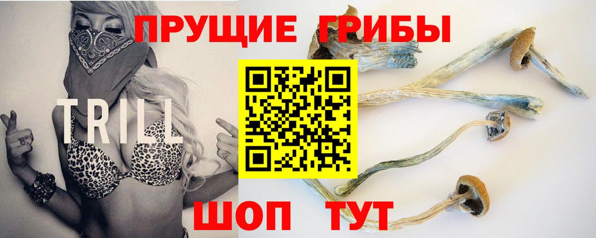 Нефтекумск  Галлюциногенные грибы GOLDEN TEACHER  Галлюциногенные грибы GOLDEN TEACHER  Вход с VPN 